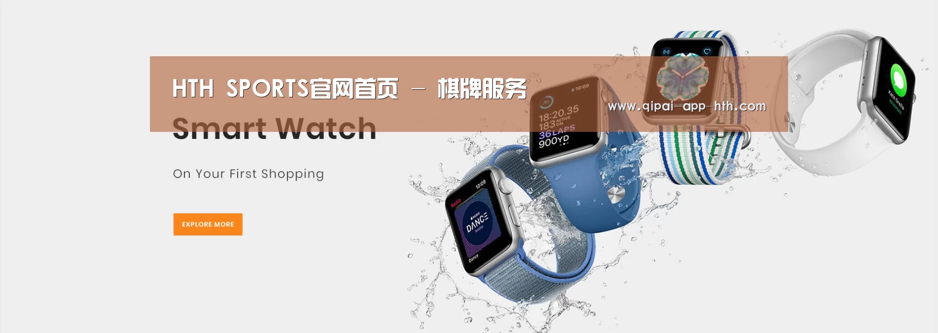 某某网络科技有限公司